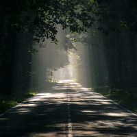 Part 3: Management and Administration: Supervisory Issues